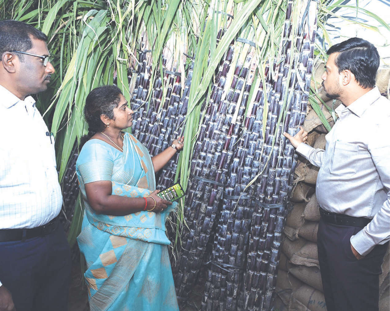 கரும்பு தரம்: கலெக்டர் பவன்குமார் நேரில் பார்வையிட்டு ஆய்வு !!